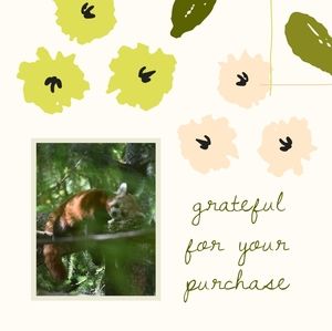 Meet your Posher, Nik